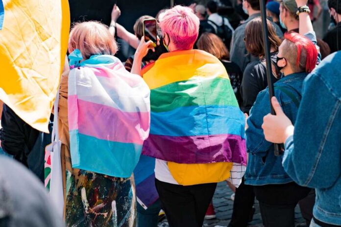 Back,View,Of,People,With,Lgbt,And,Trans,Flags,Protest