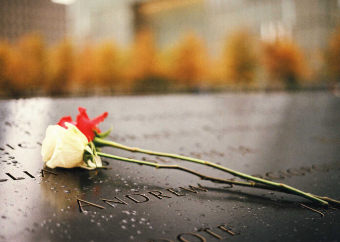 Red,And,White,Rose,On,The,9/11,Memorial,North,Pool