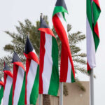 Friendly Fire Shocker: U.S. Jets Fall Over Kuwait Multiple flags waving in the wind with palm trees in the background