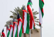 Friendly Fire Shocker: U.S. Jets Fall Over Kuwait Multiple flags waving in the wind with palm trees in the background