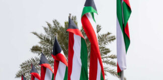 Multiple flags waving in the wind with palm trees in the background