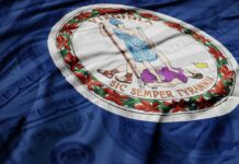 Virginia state flag with a blue background and money texture