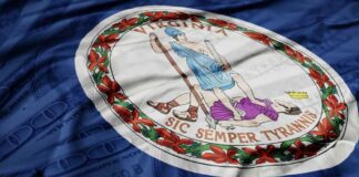 Virginia state flag with a blue background and money texture