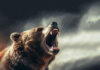 Roaring bear with open mouth against cloudy sky
