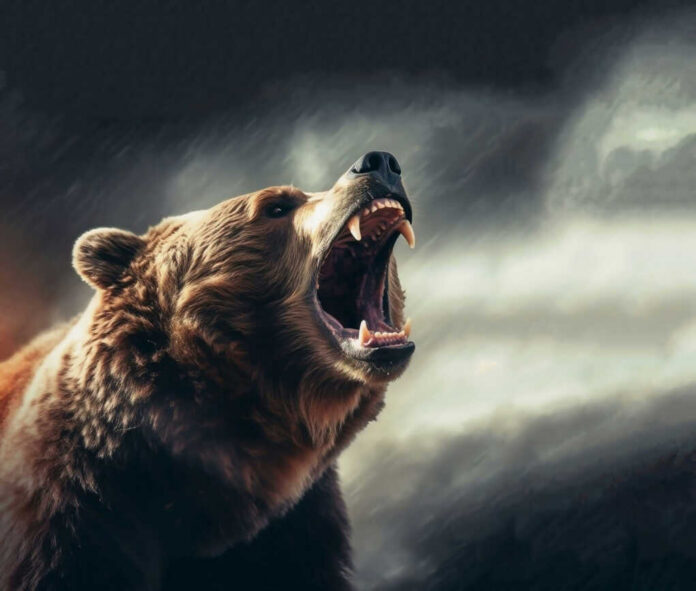 Bear angry_2375844303.jpg Roaring bear with open mouth against cloudy sky
