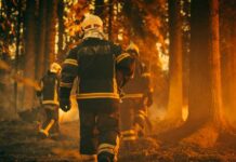 Real-Time Wildfire Tracking: NASA’s Big Promise Firefighters walking through a smoky forest during a wildfire