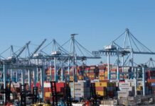 Federal Probe: Did China Manipulate Supply Chain? Cranes and shipping containers at a busy port