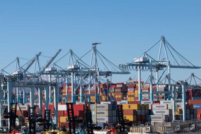 2023,June,8:,Usa:,California.,Apm,Terminals,On,Terminal,Island Cranes and shipping containers at a busy port