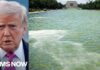 Blue paint peeling off Lincoln Memorial reflecting pool after $14M renovation