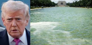 Blue paint peeling off Lincoln Memorial reflecting pool after $14M renovation