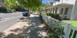 Paul Pelosi faces charges after hitting parked car, driving away