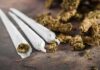 Thailand’s Weed Whiplash Stuns Tourists Three cannabis joints beside loose marijuana buds