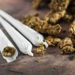 Three cannabis joints beside loose marijuana buds