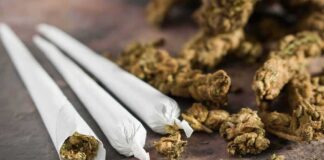 Three cannabis joints beside loose marijuana buds