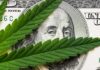 9–0 Shock: Marijuana Use Doesn’t Nuke Gun Rights cannabis leaf over US dollar bill