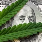 9–0 Shock: Marijuana Use Doesn’t Nuke Gun Rights cannabis leaf over US dollar bill