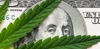 cannabis leaf over US dollar bill