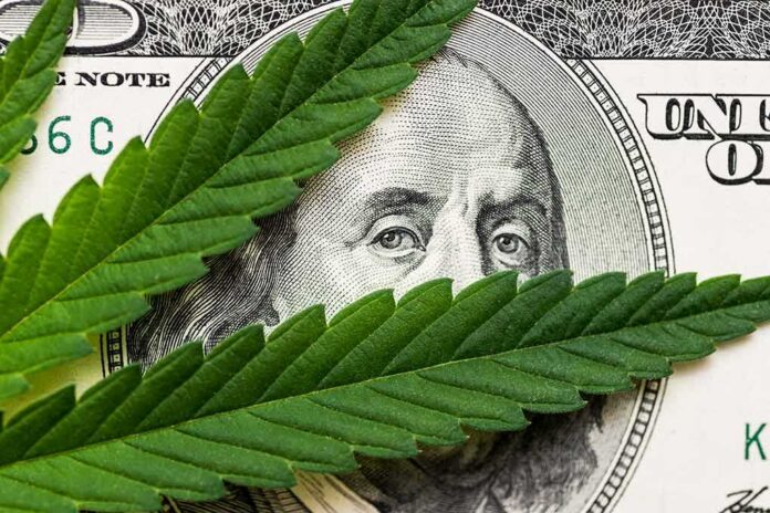 cannabis leaf over US dollar bill