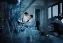 Scientists working in a modern laboratory