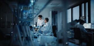 Scientists working in a modern laboratory