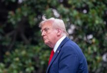 Trump Dangles Troops For Greenland Profile view of a man in formal attire with a light-colored suit and red tie against a green background
