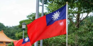 Taiwan flag waving on a pole in a green park