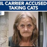 Stolen Pets? USPS Route Mystery Florida mail carrier accused of taking cats near her routes