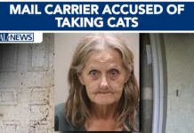 Florida mail carrier accused of taking cats near her routes