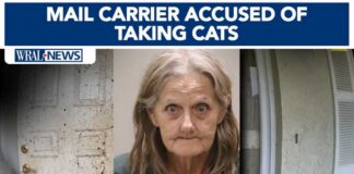 Florida mail carrier accused of taking cats near her routes