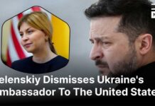 Corruption Cloud Hits Washington Envoy Zelenskiy Removes Ukraine's U.S. Ambassador Amid Government Shake-Up | DRM News | AC1C