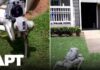 Overnight Patrols Go Robo — Jobs on Chopping Block Atlanta's Robot Dogs Are Changing Apartment Security Forever | APT
