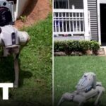 Overnight Patrols Go Robo — Jobs on Chopping Block Atlanta's Robot Dogs Are Changing Apartment Security Forever | APT