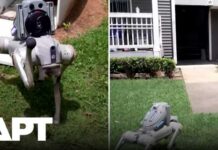 Overnight Patrols Go Robo — Jobs on Chopping Block Atlanta's Robot Dogs Are Changing Apartment Security Forever | APT