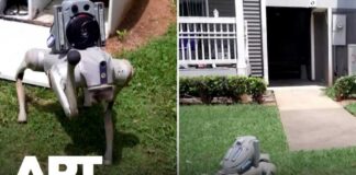 Atlanta's Robot Dogs Are Changing Apartment Security Forever | APT