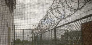 Barbed wire on chain-link fence at a prison yard