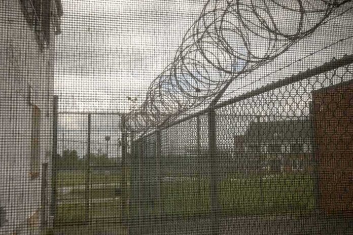 Barbed wire on chain-link fence at a prison yard