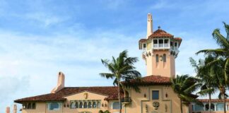 Mediterranean Revival mansion with tower and palm trees