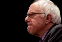 Sanders Aide: Anti-Israel Hardliners Elevated ‘By Design’ elderly man in profile wearing glasses