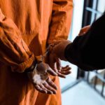 Russian Ringleader Nailed – Election Plot Unraveled Prisoner in orange jumpsuit handcuffed by officer