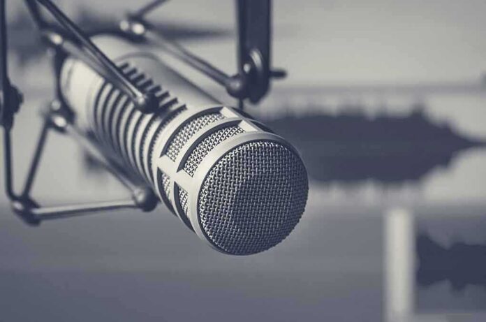 Studio microphone on shock mount close-up