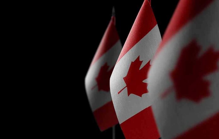 Canadian flags with maple leaf on dark background