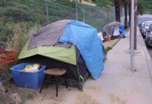 Dogs, Cats… Chickens? Wild L.A. Encampment Sweep Tent encampment along a city sidewalk