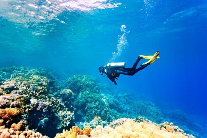 A scuba diver exploring a vibrant coral reef underwater