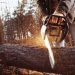 Park Service Tree Math Sparks Court Freeze: Chainsaws Stopped Person using a chainsaw to cut a fallen tree trunk