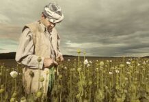 Farmer in a poppy field under cloudy sky